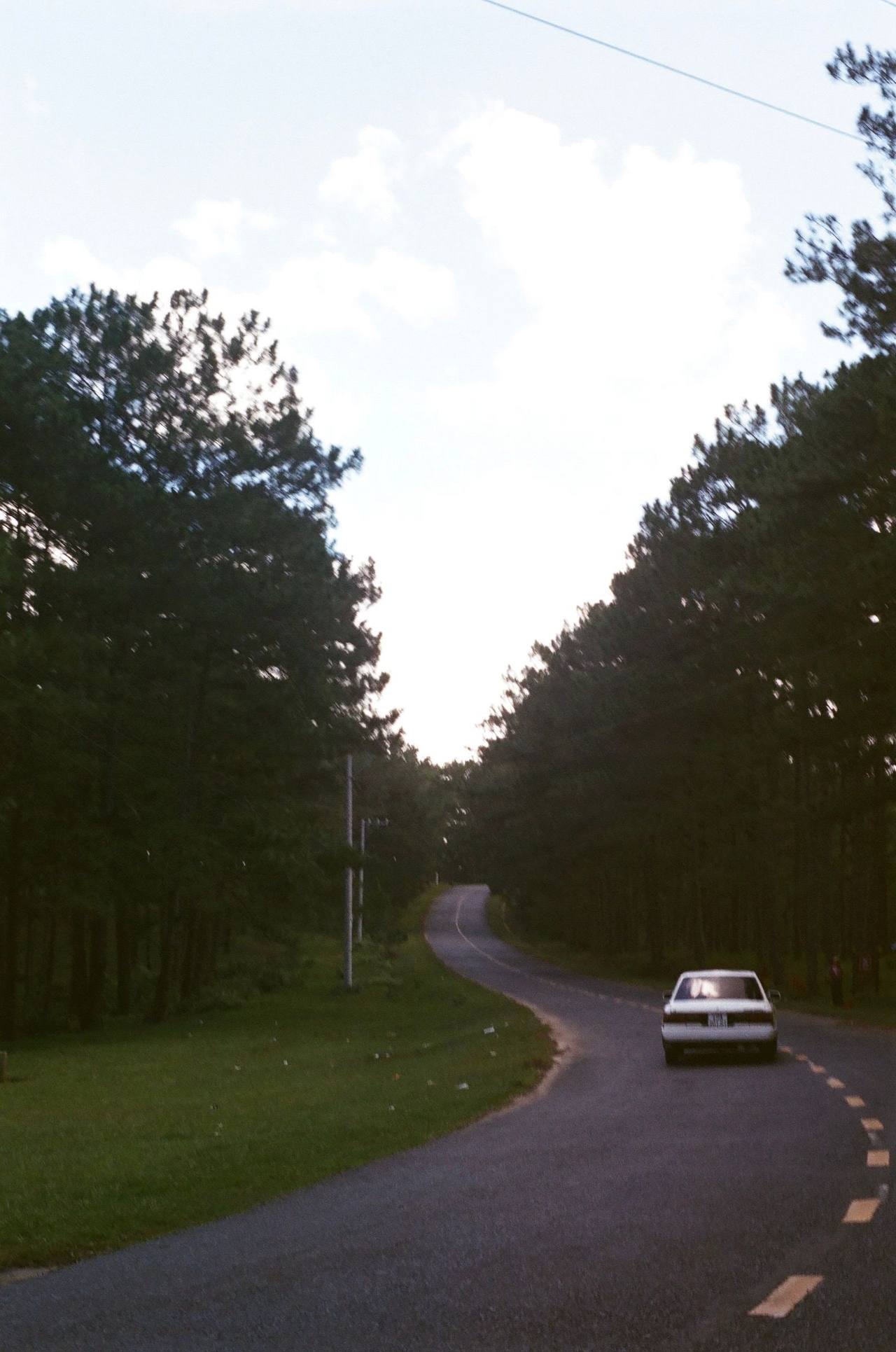A small white car far off on a road winding between two stands of pine, green verges along the road, white clouds overhead