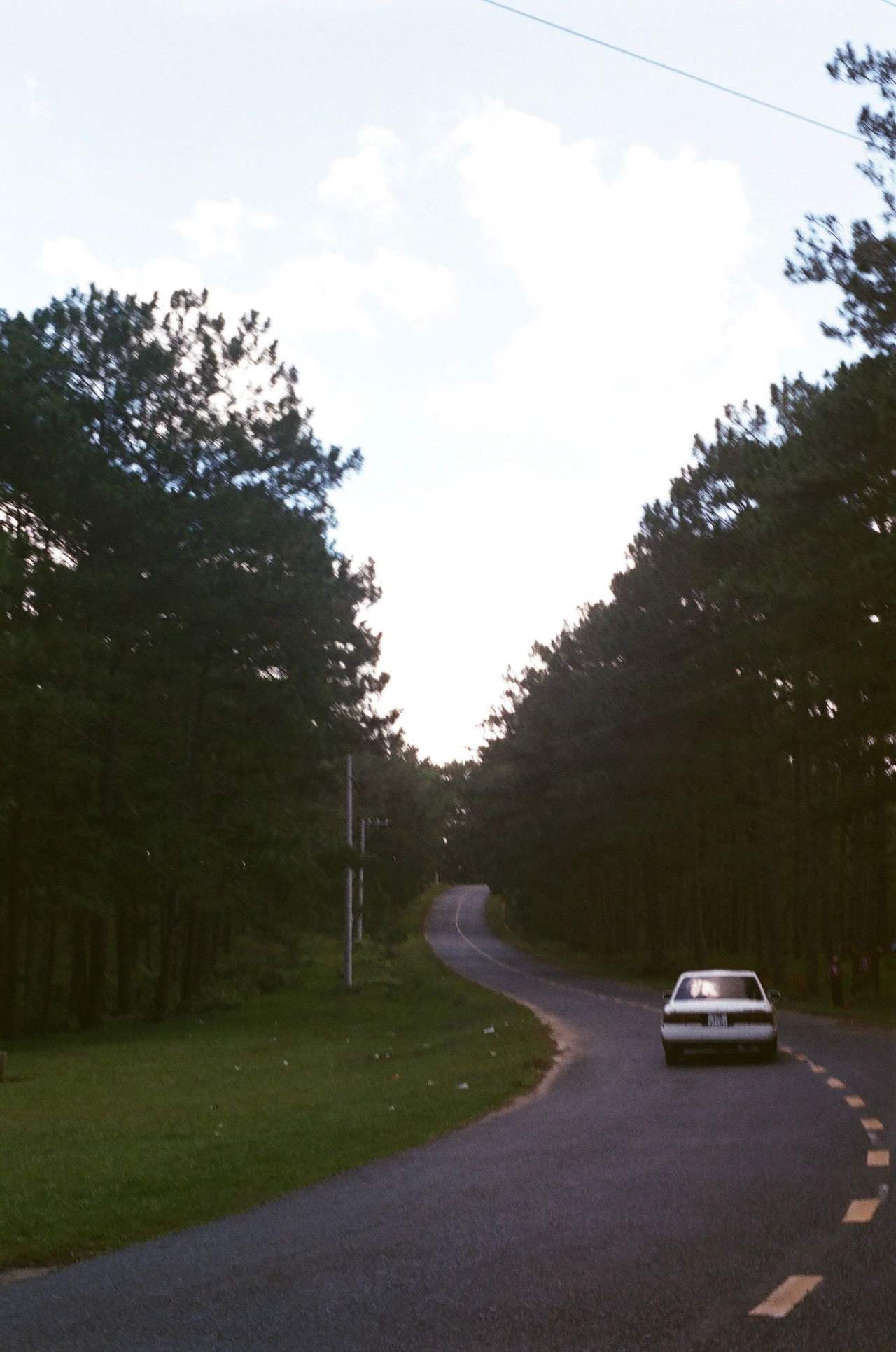 A small white car far off on a road winding between two stands of pine, green verges along the road, white clouds overhead