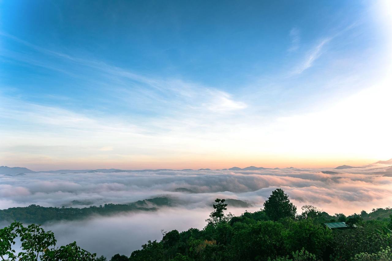 A sea of white cloud fills the valleys around Đà Lạt at sunrise, a pink band on the horizon, green treetops in the foreground