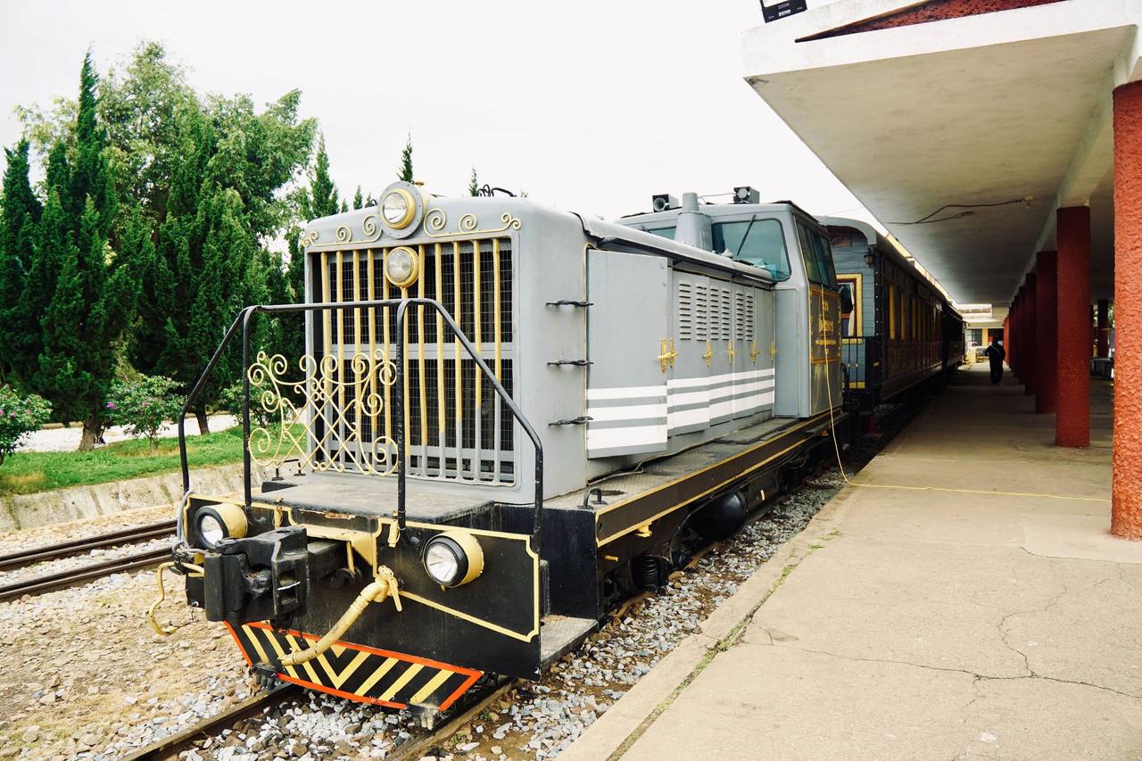 A grey vintage locomotive trimmed in yellow at the Đà Lạt station platform, the platform roof on red columns, pines and cypresses behind
