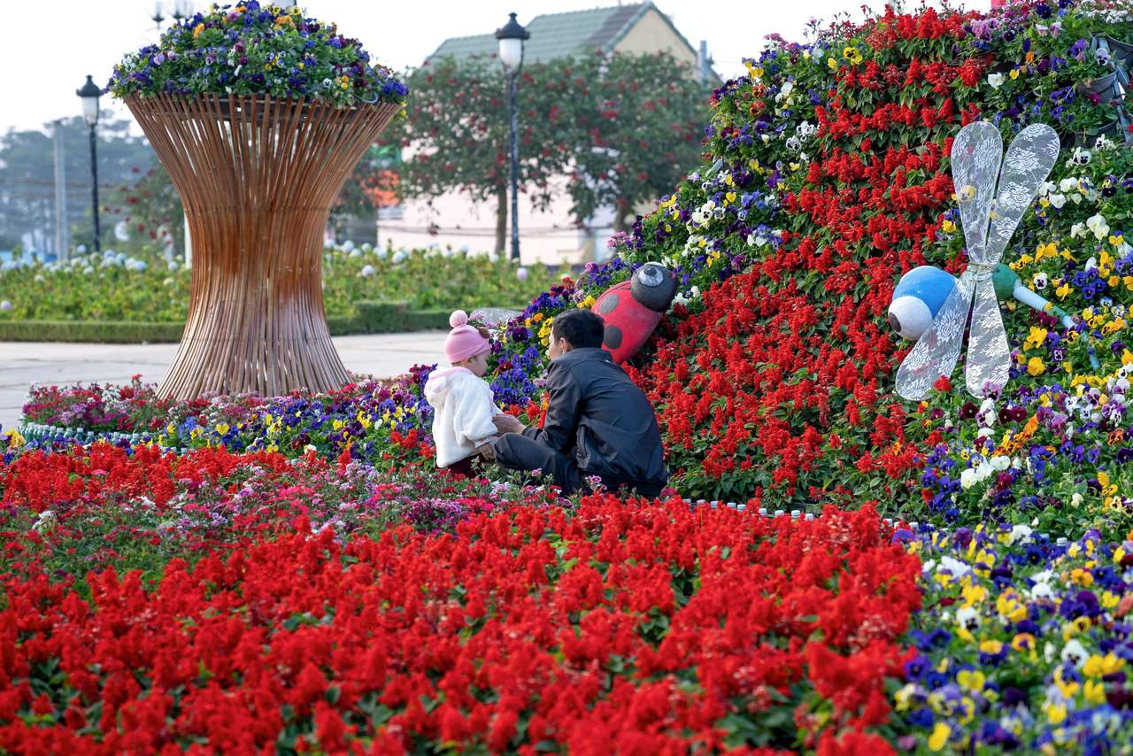 Beds of red, purple and yellow flowers built into a ladybird and dragonfly display on a square, a father and a little girl sitting with their backs turned among the flowers