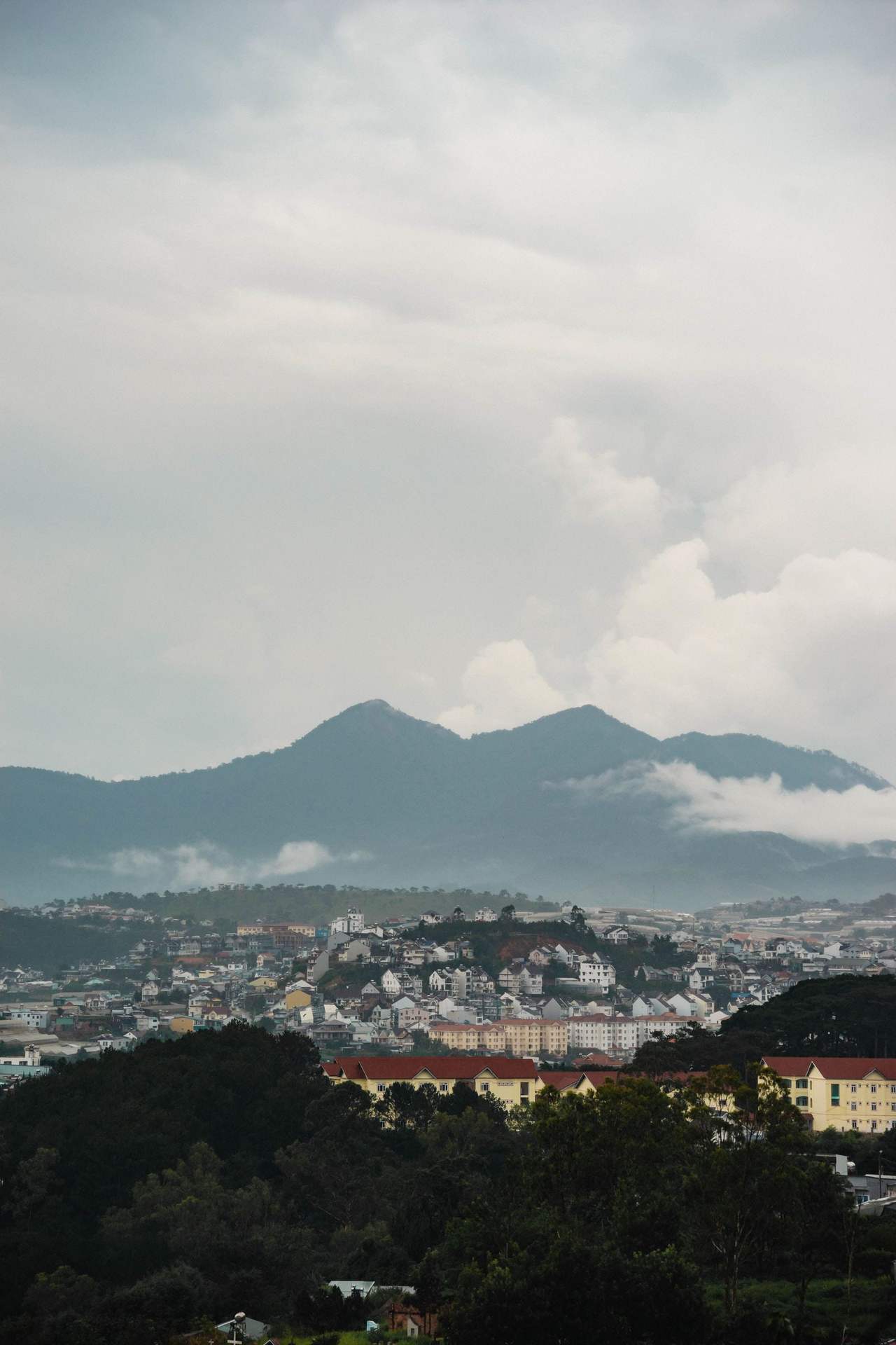 Đà Lạt from above: rows of colourful houses covering the hills, pine forest in the foreground, distant peaks in cloud