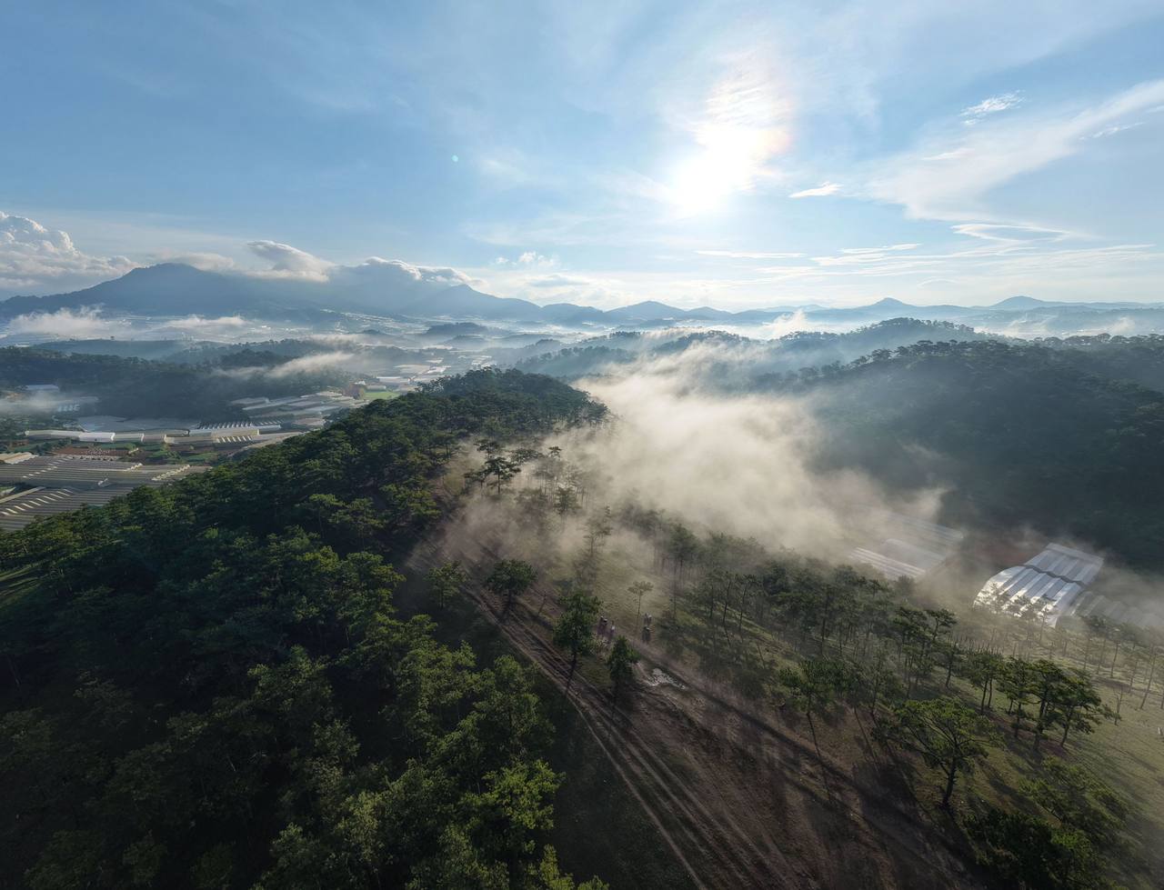 A Đà Lạt pine hill from above once the sun is up: the last band of mist lifting along the valley, far hills under a blue sky with white cloud
