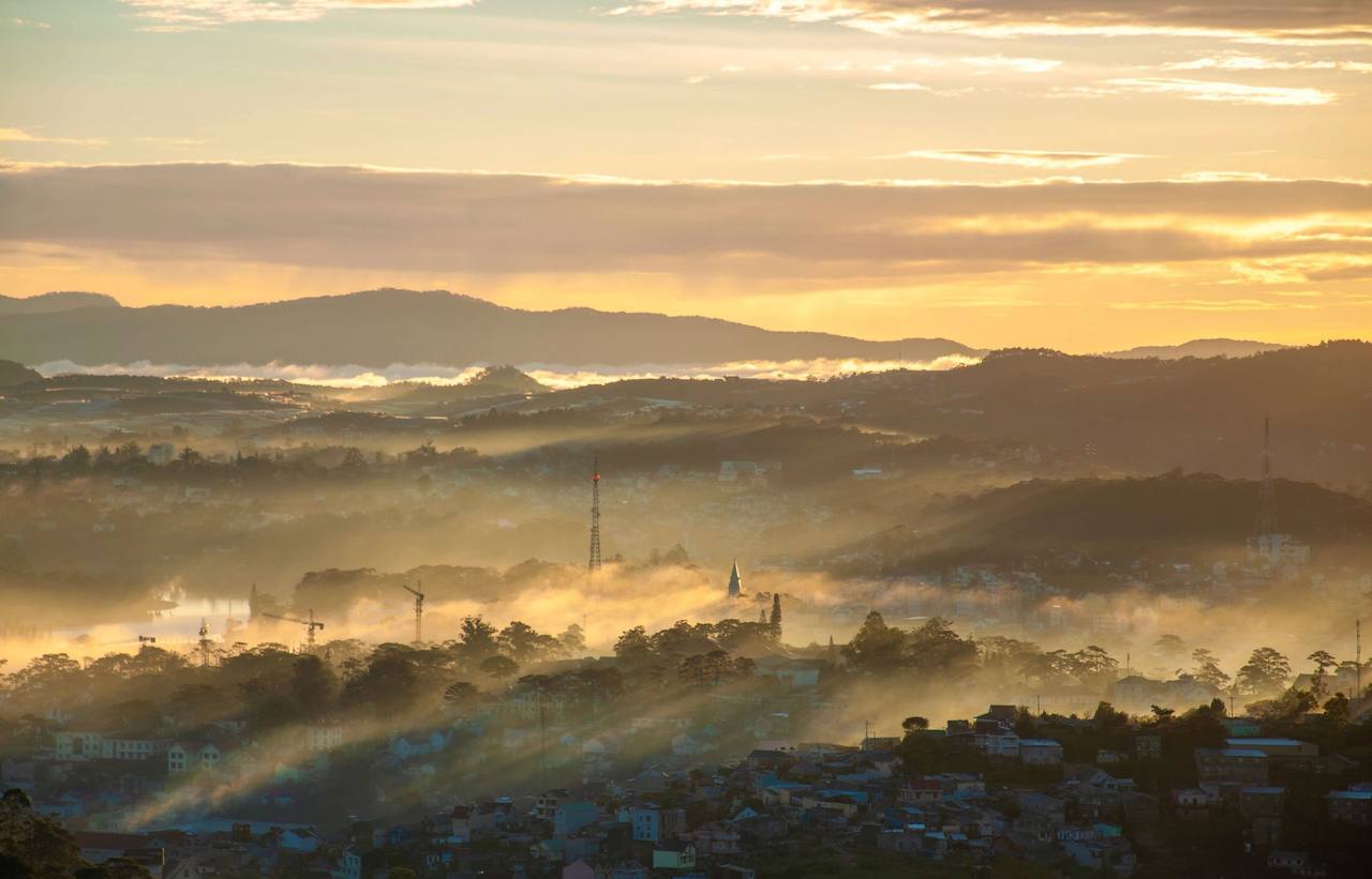 Golden light slanting through thin mist over Đà Lạt's pine hills, roofs glimpsed among the trees, a gold-tinted sky