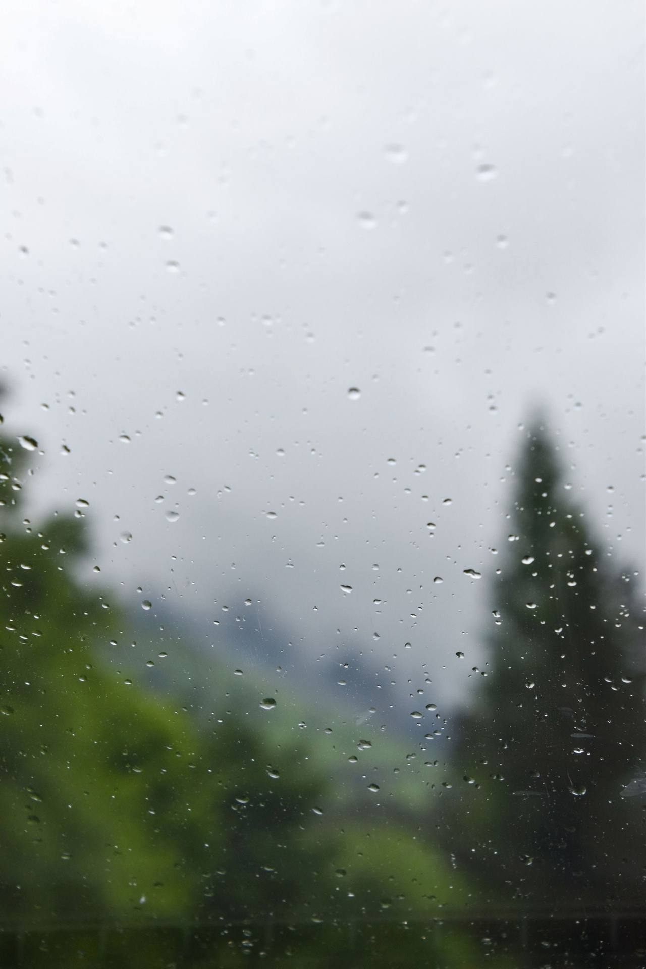 Raindrops on a window pane, a conifer top and a hillside fading into grey cloud behind