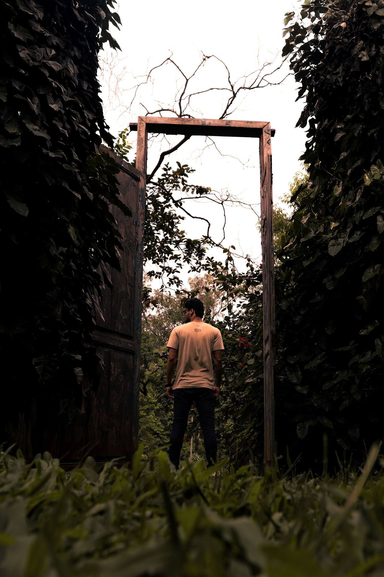 A man seen from behind standing in an open wooden gateway onto a garden path, green foliage arching on both sides