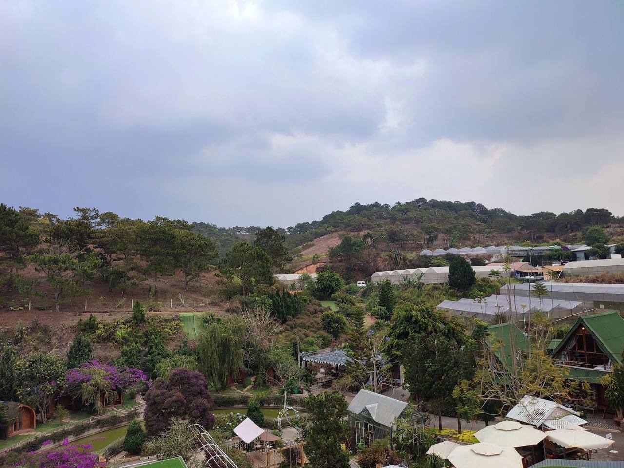 From the Twin Pine balcony: a garden with purple bougainvillea and wooden roofs below, greenhouses and a pine hill beyond, under a cloudy sky