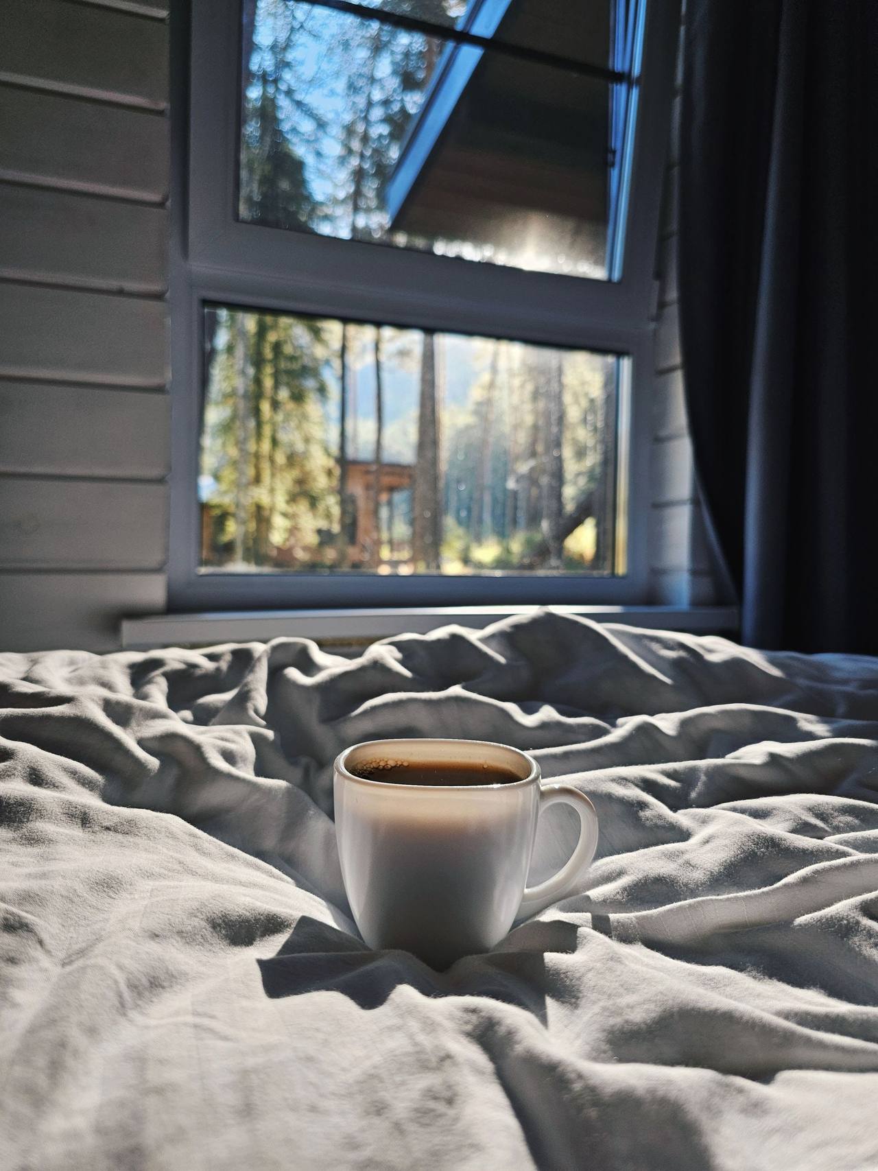 A white cup of coffee on rumpled sheets, the window above the bed looking out on pine trunks and early sun