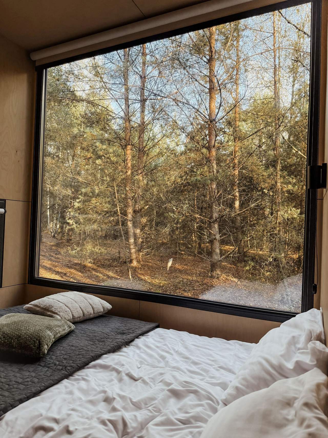 Little Pine: a double bed in white linen pushed up to a large uncurtained window that looks straight onto tall pine trunks in the garden