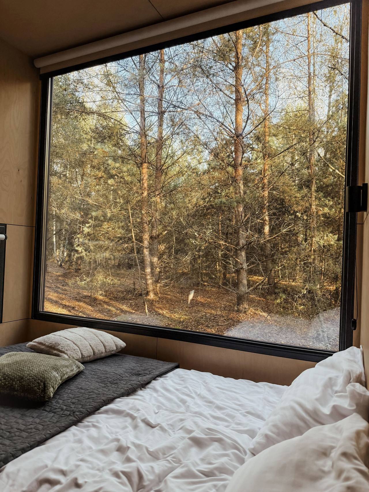 Little Pine: a double bed in white linen pushed up to a large uncurtained window that looks straight onto tall pine trunks in the garden